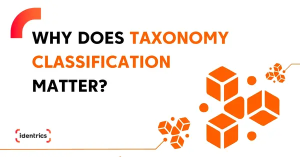Why Does Data Taxonomy Classification Matter?